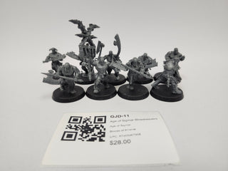 Age of Sigmar Bloodreavers GJD-11