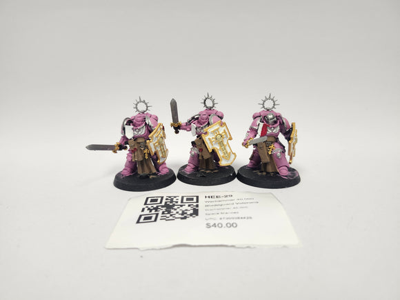 Warhammer 40,000 Bladeguard Veterans HEE-29
