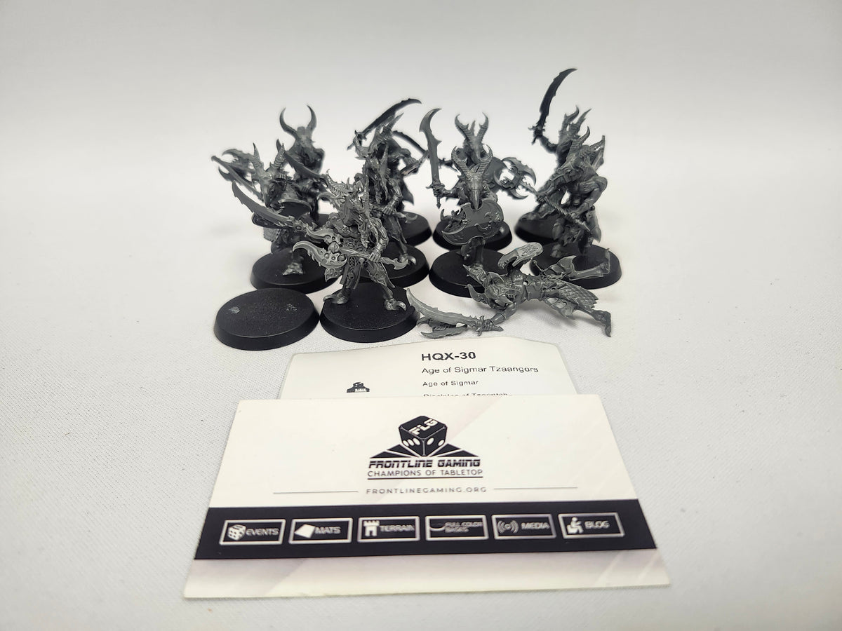 Age of Sigmar Tzaangors HQX-30