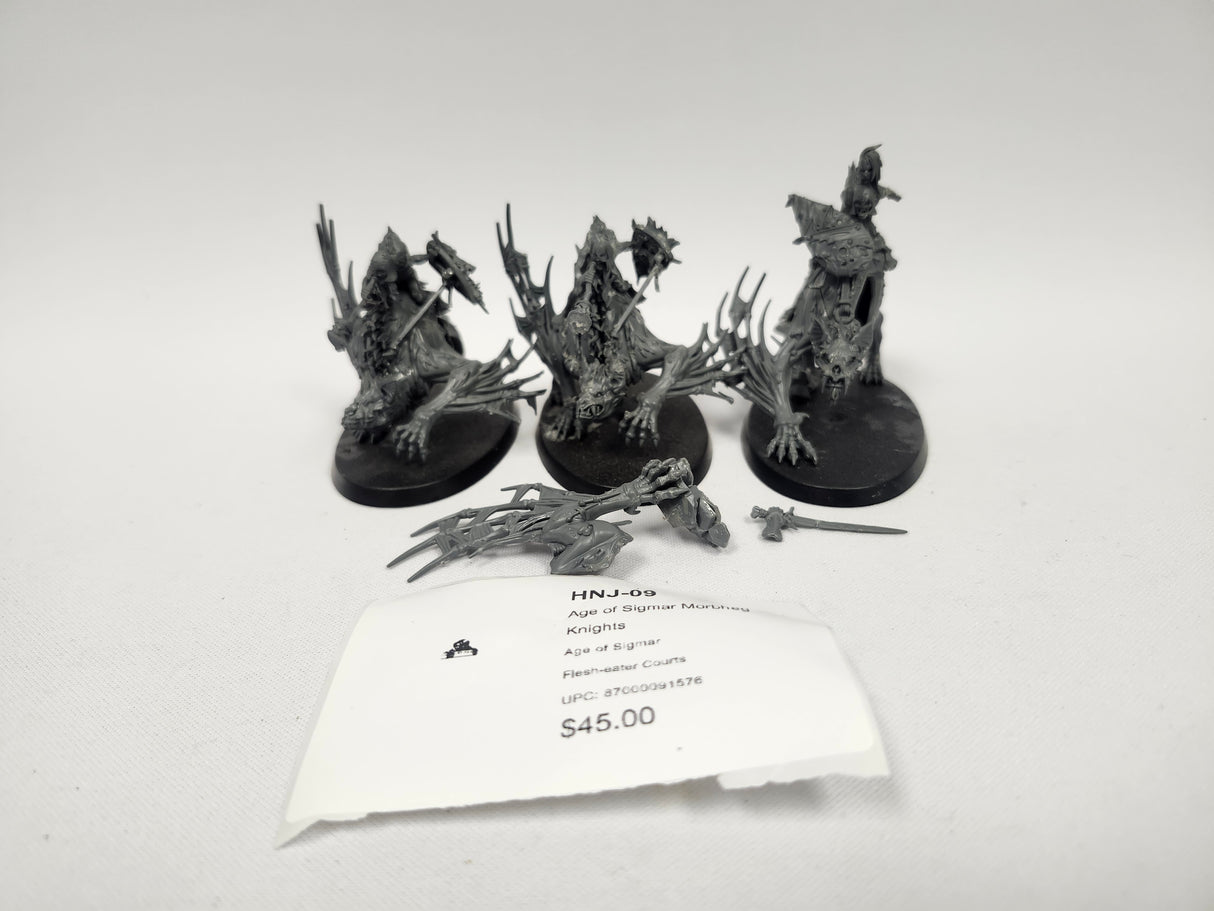 Age of Sigmar Morbheg Knights HNJ-09