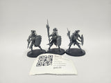 Age of Sigmar Immortis Guard HCZ-15