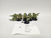 Age of Sigmar Arkanaut Company HHX-26