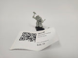 Warhammer Fantasy Warrior Priest GEY-06