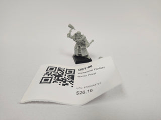 Warhammer Fantasy Warrior Priest GEY-06
