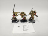 Warhammer 40,000 Sanguinary Guard HOY-19