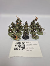 Age of Sigmar Cryptguard HCC-21