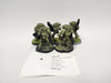 Warhammer 40,000 Heavy Intercessors HIL-24