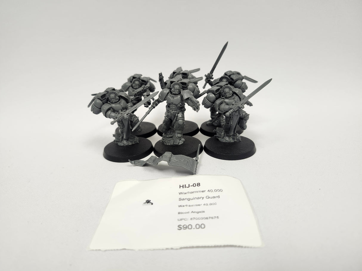Warhammer 40,000 Sanguinary Guard HIJ-08