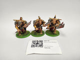 Beast of Chaos Minotaurs GZV-10