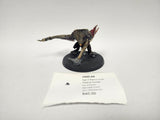 Age of Sigmar Crypt Varghulf Courtier HND-06