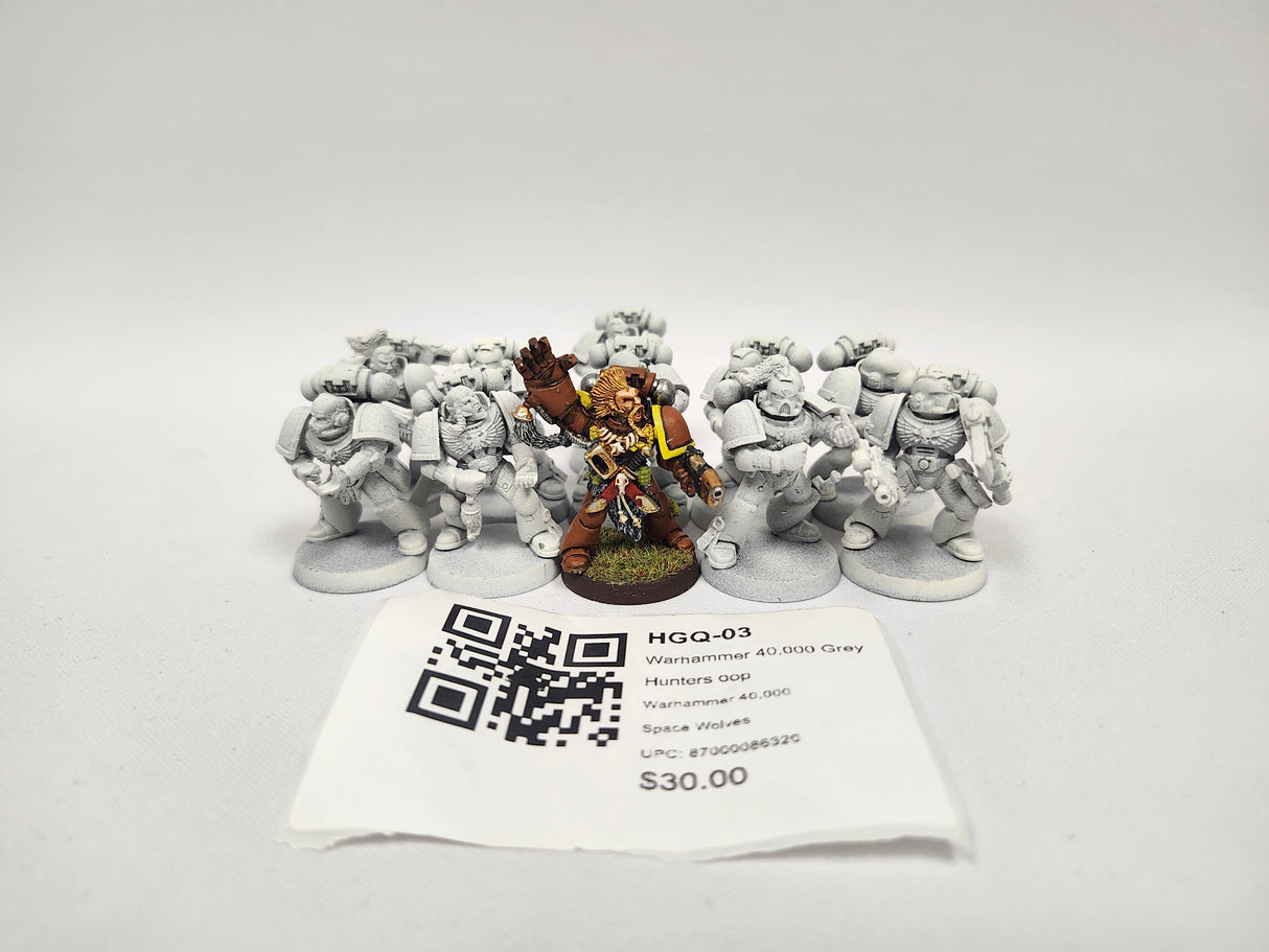 Warhammer 40,000 Grey Hunters oop HGQ-03