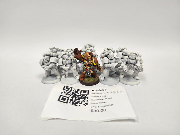 Warhammer 40,000 Grey Hunters oop HGQ-03