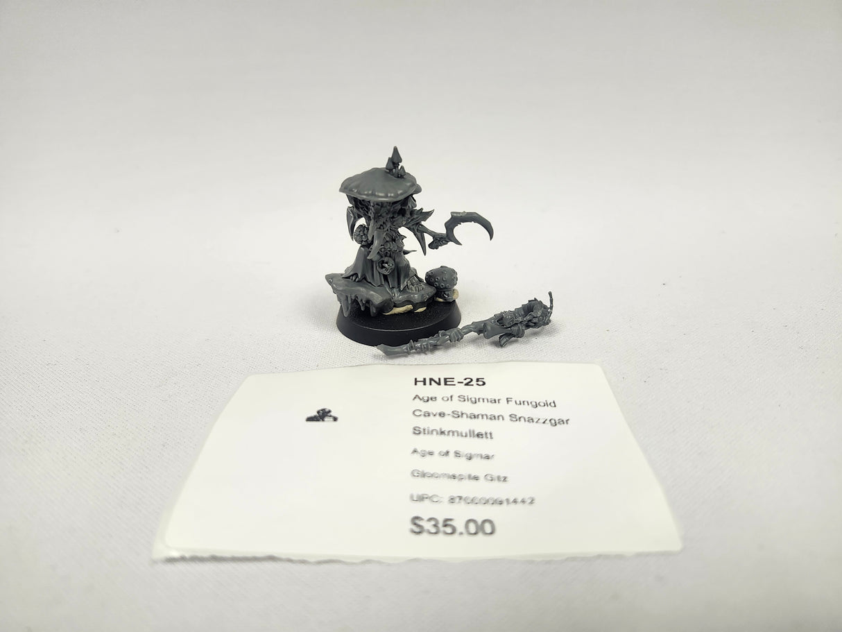 Age of Sigmar Fungoid Cave-Shaman Snazzgar Stinkmullett HNE-25