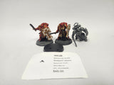 Warhammer 40,000 Bladeguard Veterans HHI-29