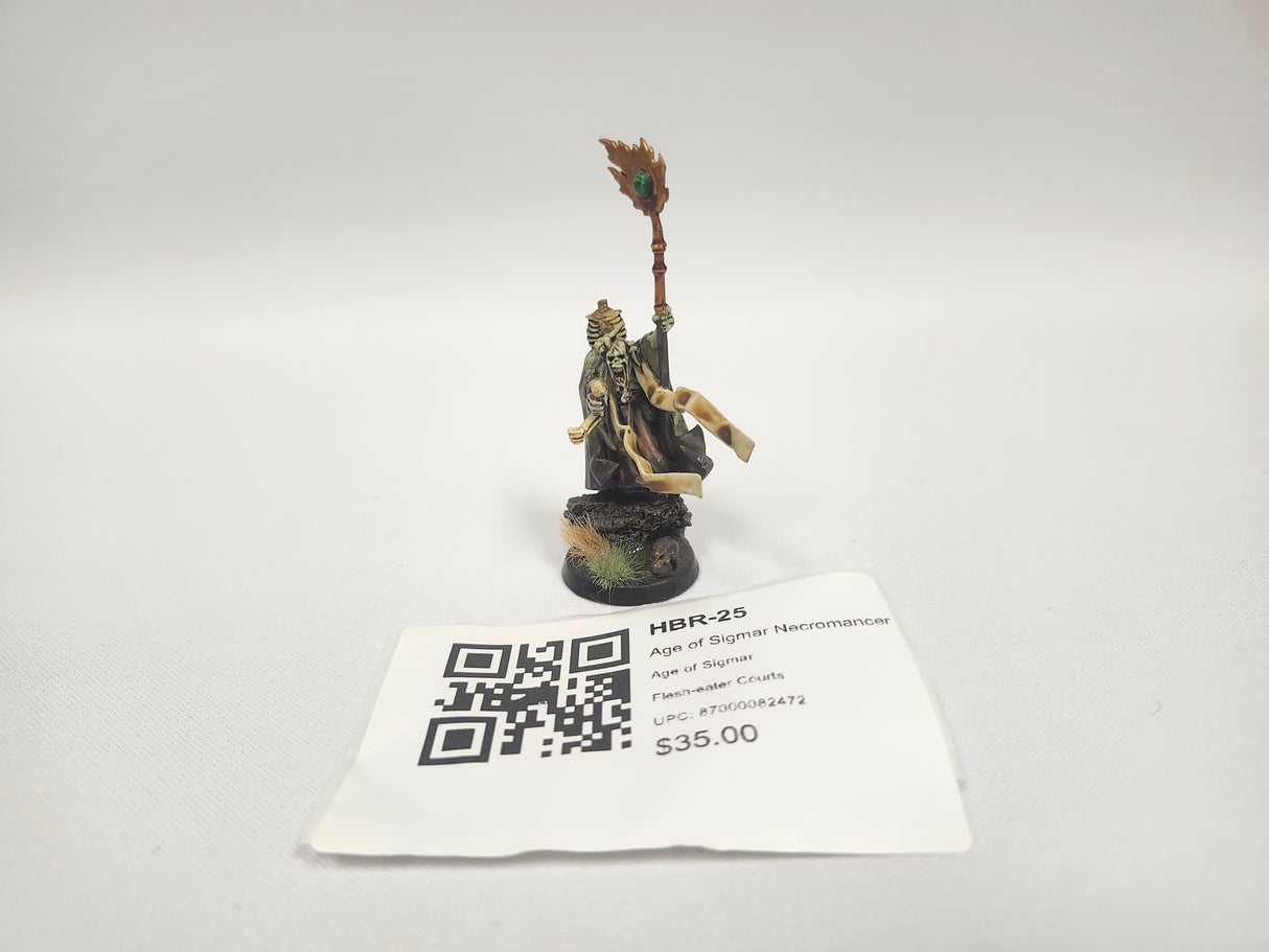 Age of Sigmar Necromancer HBR-25