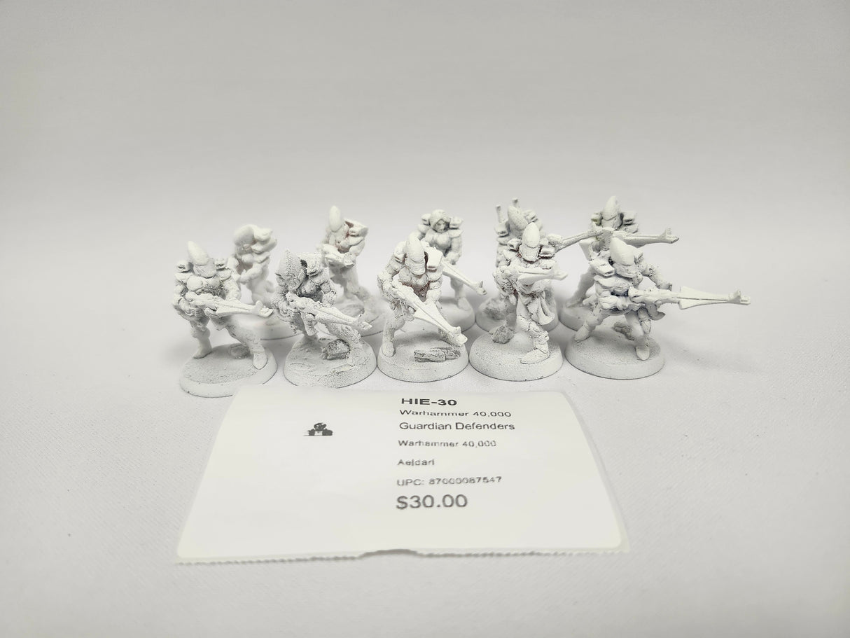 Warhammer 40,000 Guardian Defenders HIE-30