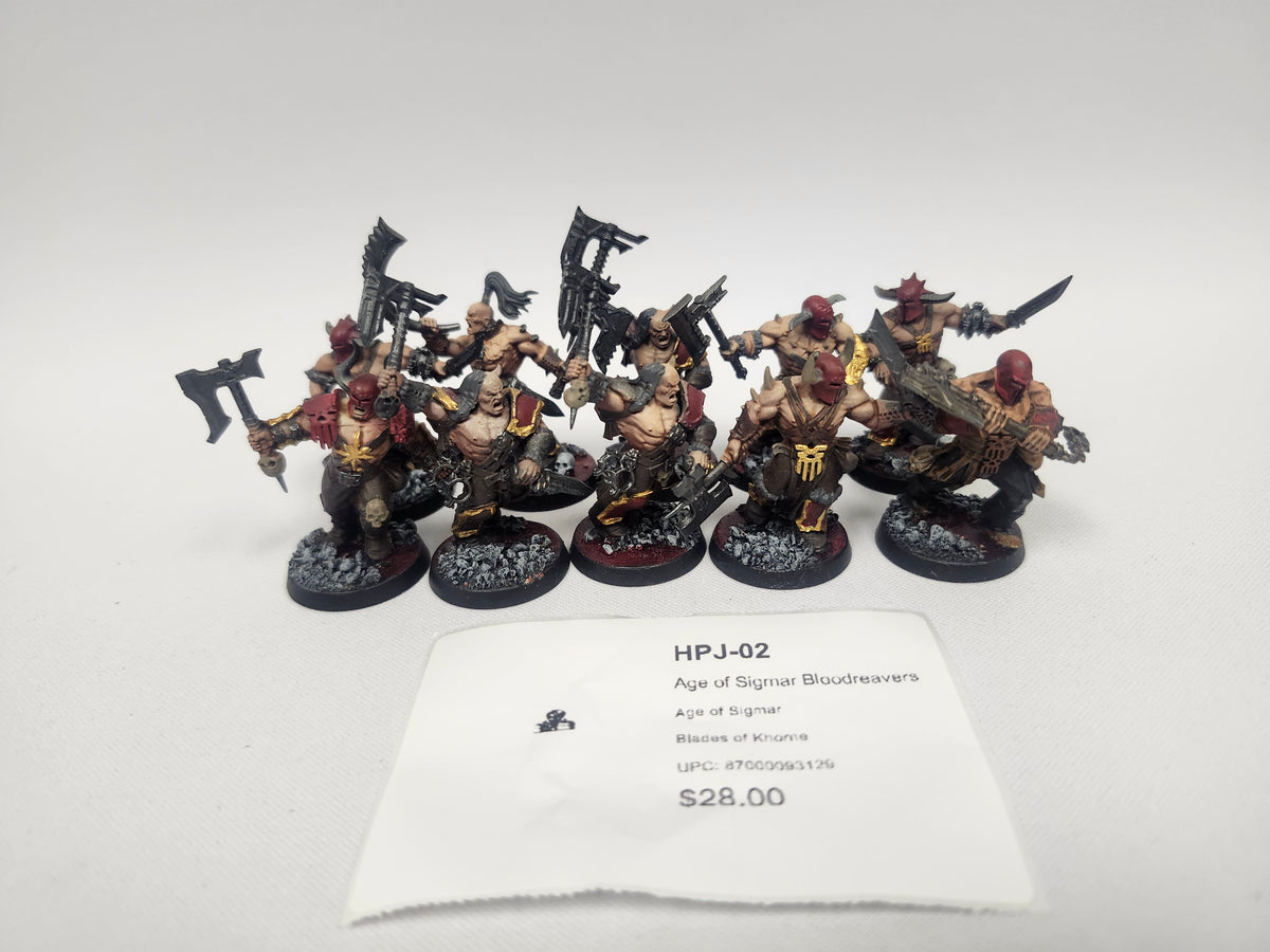 Age of Sigmar Bloodreavers HPJ-02