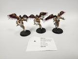 Age of Sigmar Prosecutors With Celestial Hammers HRO-31
