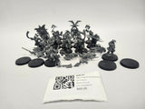 Age of Sigmar Bloodreavers GZI-31