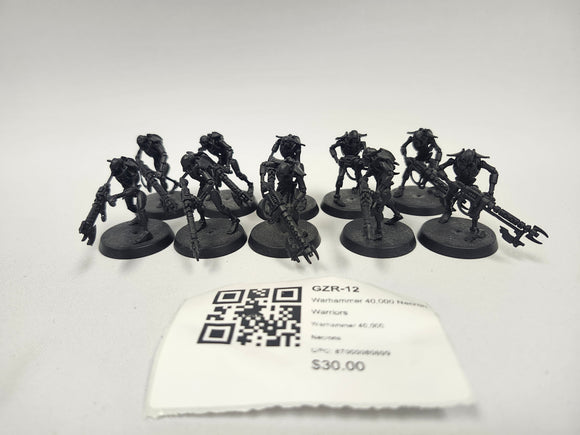 Warhammer 40,000 Necron Warriors GZR-12
