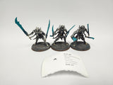 Age of Sigmar Necropolis Stalkers HJT-30