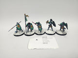 Age of Sigmar Vindictors HKK-26