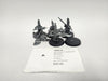 Age of Sigmar Hearthguard Berzerkers HNR-30