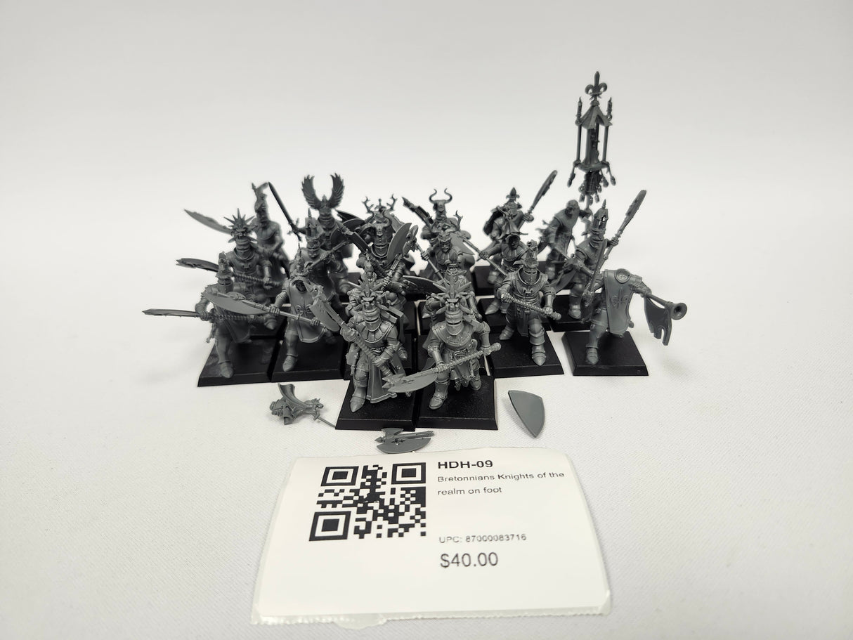 Bretonnians Knights of the realm on foot  HDH-09