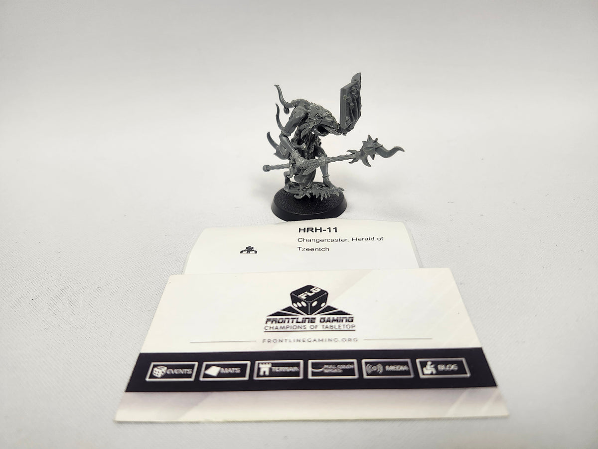 Changercaster, Herald of Tzeentch HRH-11
