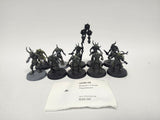 Maggotkin of Nurgle Plaguebearers HHW-09