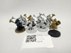 Age of Sigmar Sequitors HCB-20