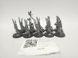 Age of Sigmar Vanari Auralan Sentinels HCF-31