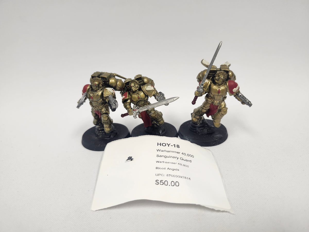 Warhammer 40,000 Sanguinary Guard HOY-18