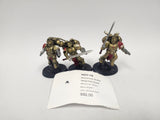 Warhammer 40,000 Sanguinary Guard HOY-18