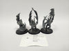 Age of Sigmar Crypt Flayers HNJ-02