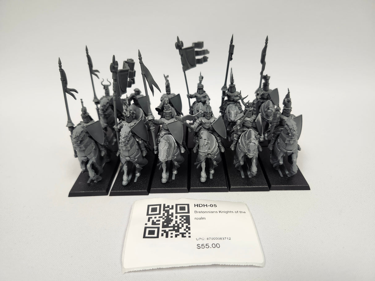 Bretonnians Knights of the realm HDH-05