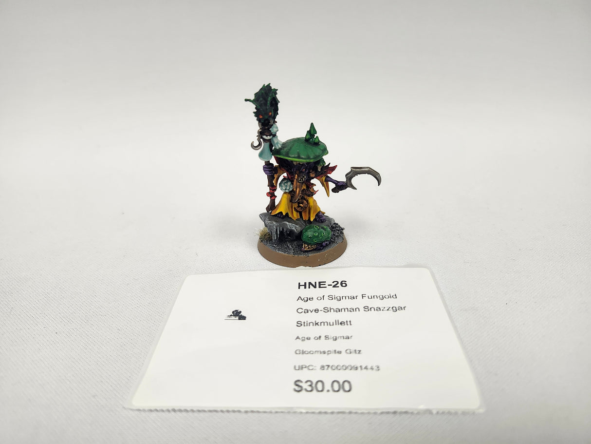 Age of Sigmar Fungoid Cave-Shaman Snazzgar Stinkmullett HNE-26