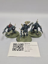 Age of Sigmar Crypt Horrors HCA-10