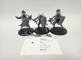 Age of Sigmar Immortis Guard HRN-05