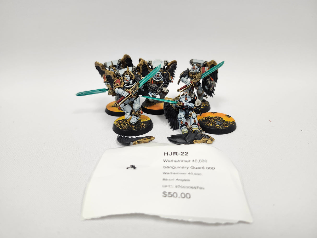 Warhammer 40,000 Sanguinary Guard oop HJR-22