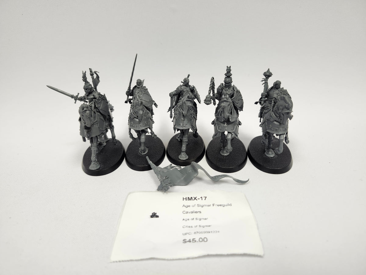 Age of Sigmar Freeguild Cavaliers HMX-17