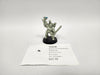 Warhammer 40,000 Brother Corbulo oop HJN-06