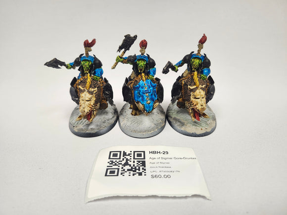 Age of Sigmar Gore-Gruntas HBH-29
