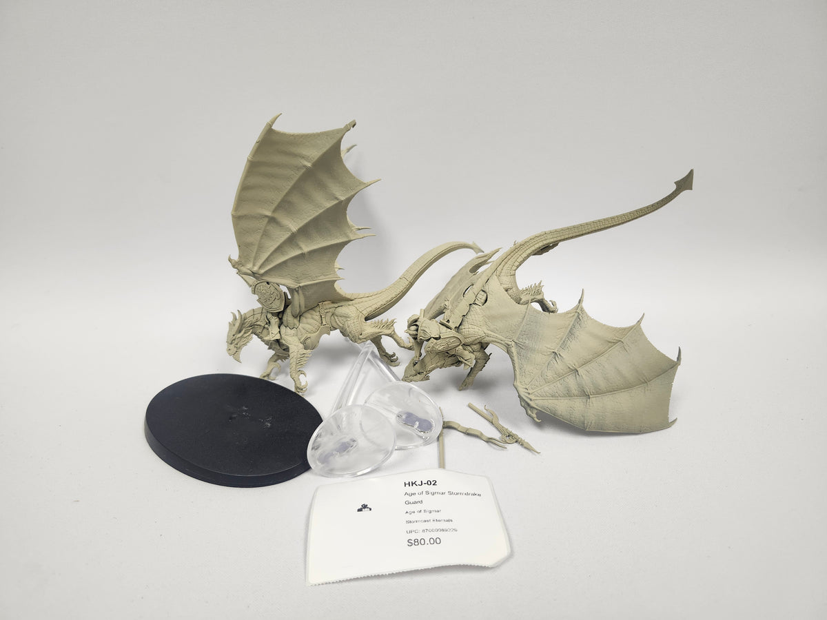 Age of Sigmar Stormdrake Guard HKJ-02