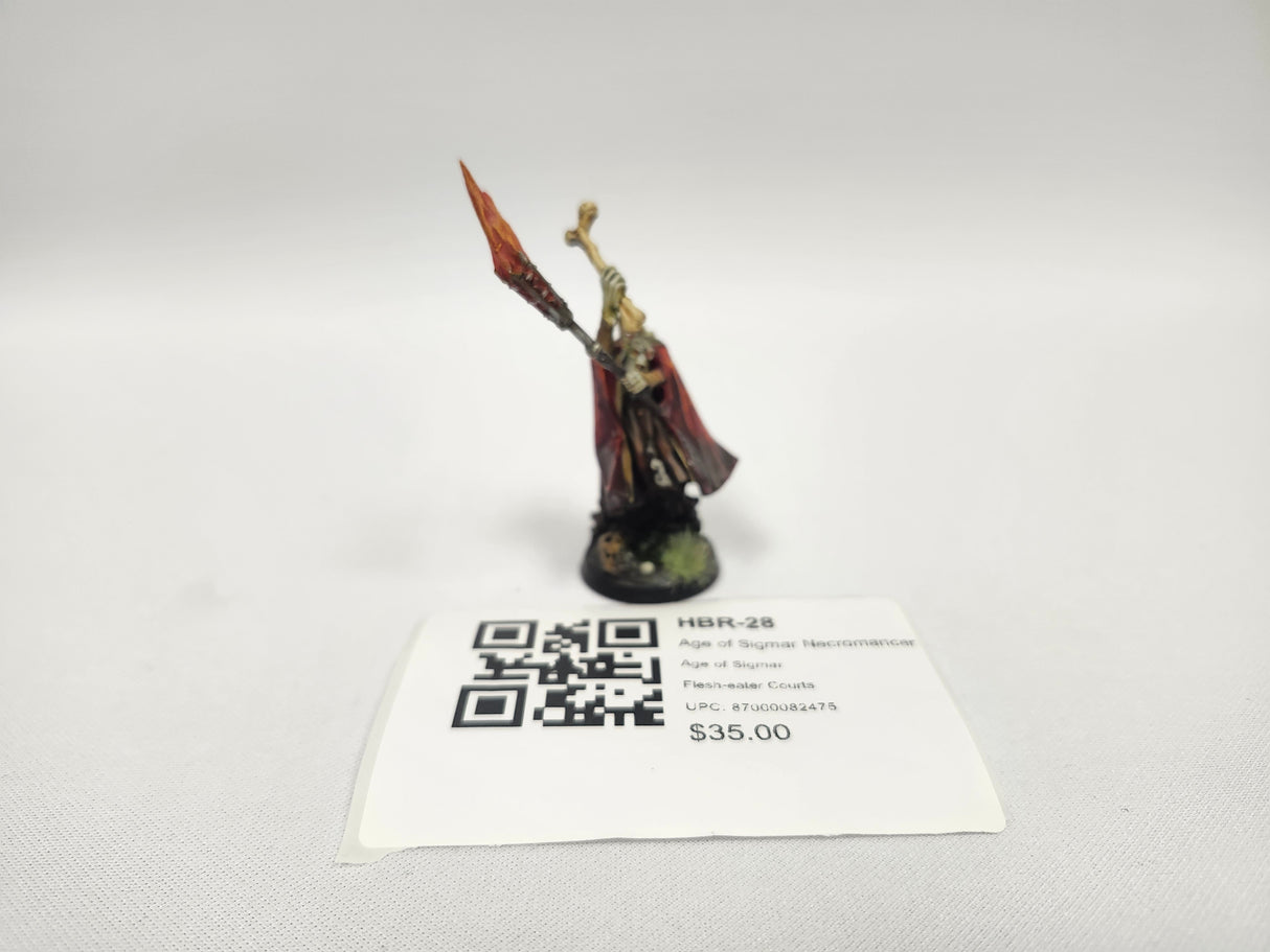 Age of Sigmar Necromancer HBR-28