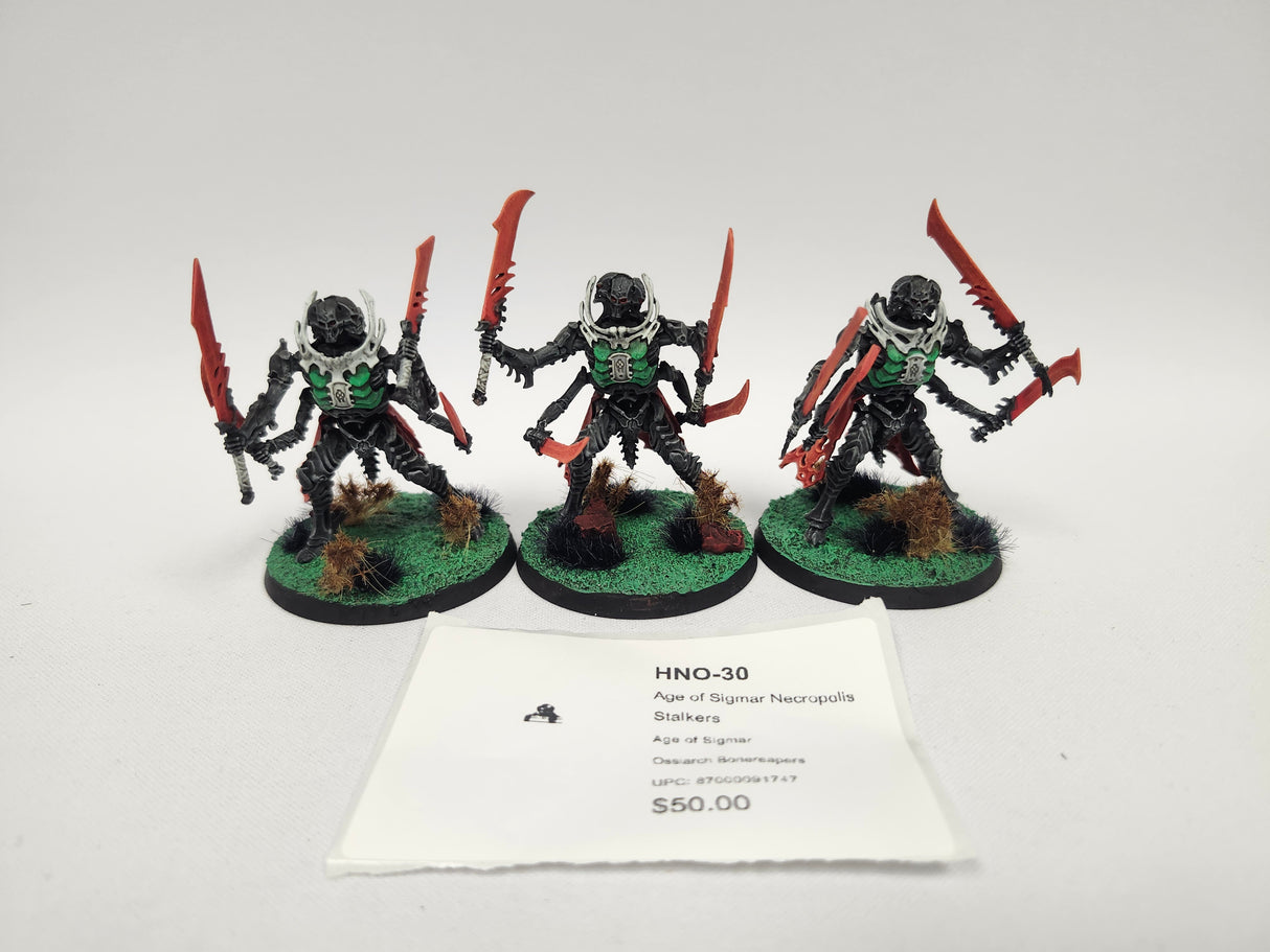 Age of Sigmar Necropolis Stalkers HNO-30