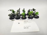 Seraphon Hunters of huanchi HRU-21