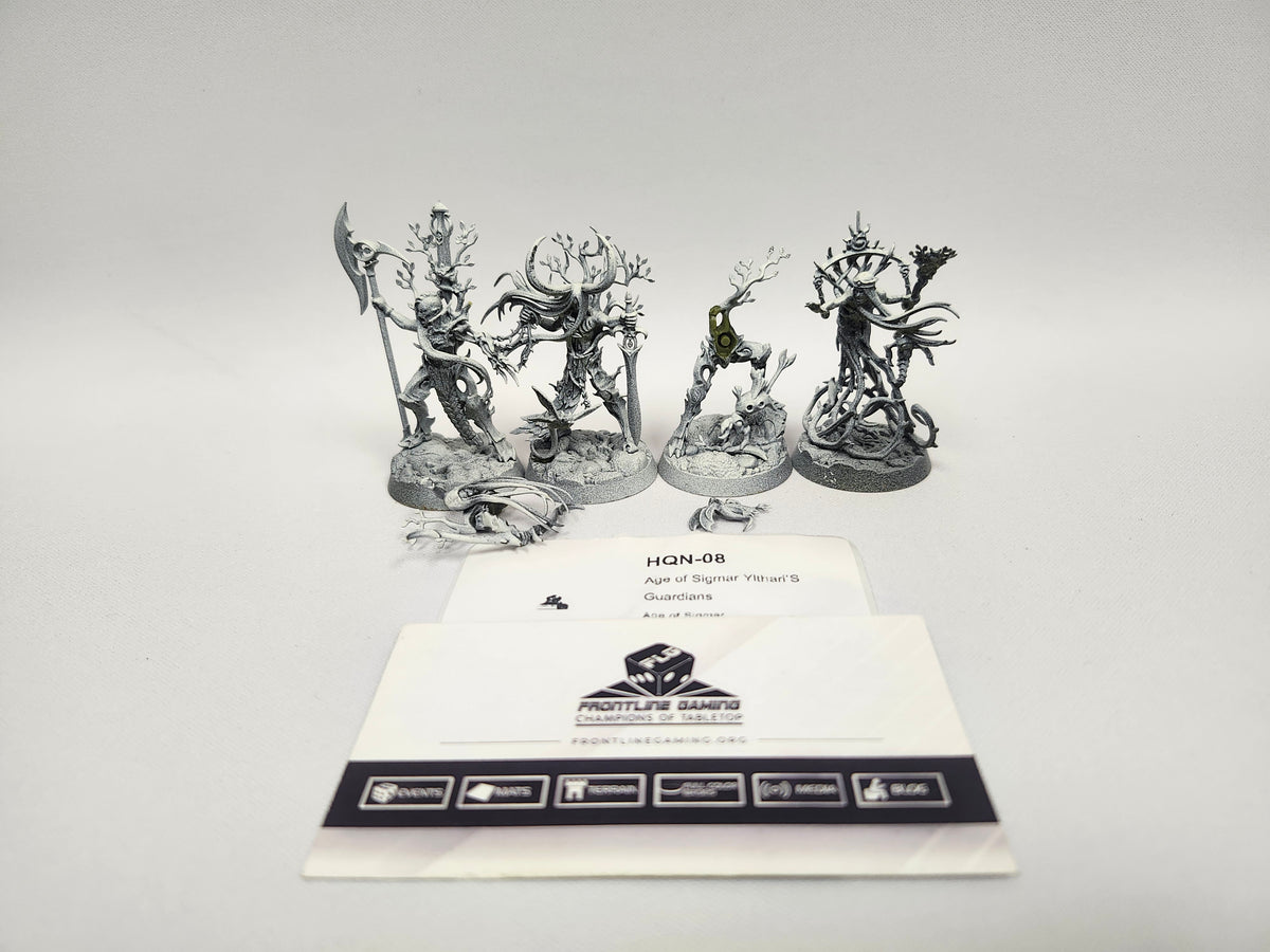Age of Sigmar Ylthari’S Guardians HQN-08
