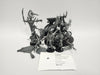 Age of Sigmar Hag Queen On Cauldron Of Blood HJX-23