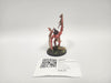 Age of Sigmar Crypt Infernal Courtier HBS-07